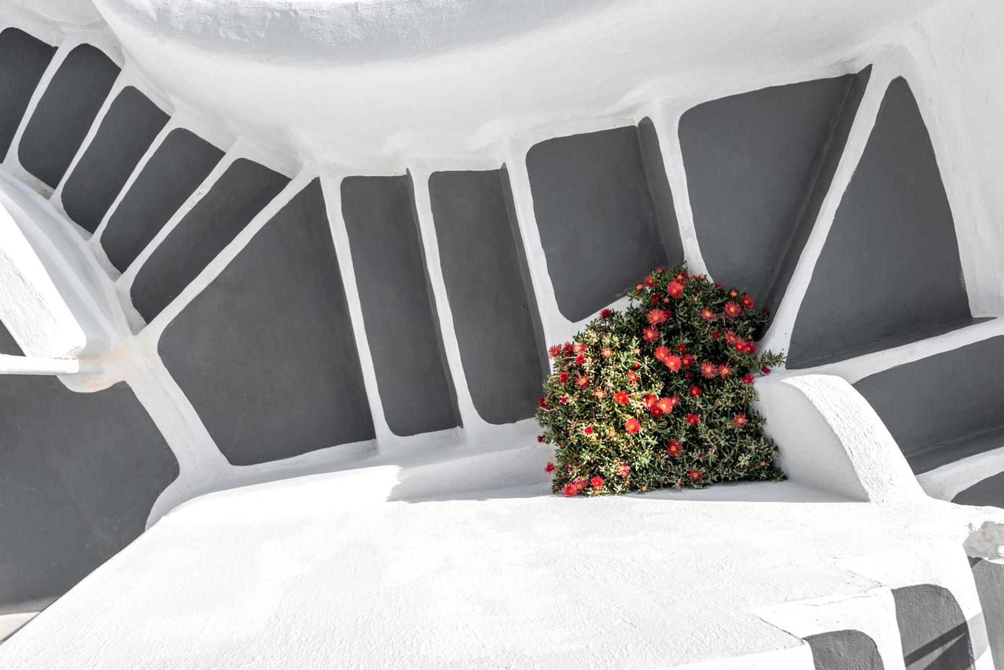 Diamond Luxury Suites Collection Oia  Exterior photo